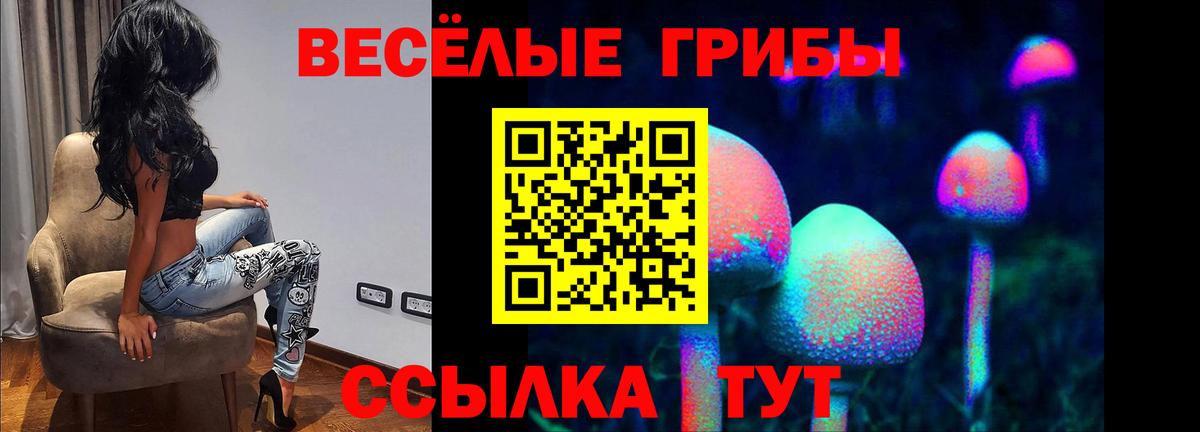Галлюциногенные грибы Psilocybe Нефтекамск